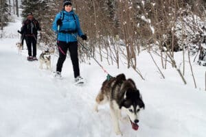 Husky Schneeschuhtrekking Postalm für 2